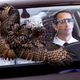 Illustration for article titled Ornithologists Discover Owls Just Bounce Off Your Windshield On The Highway Sometimes